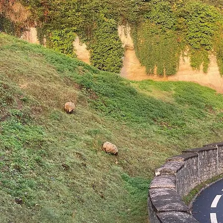 Appart' Cosy En Bord De Loire