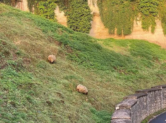 Appart' Cosy En Bord De Loire